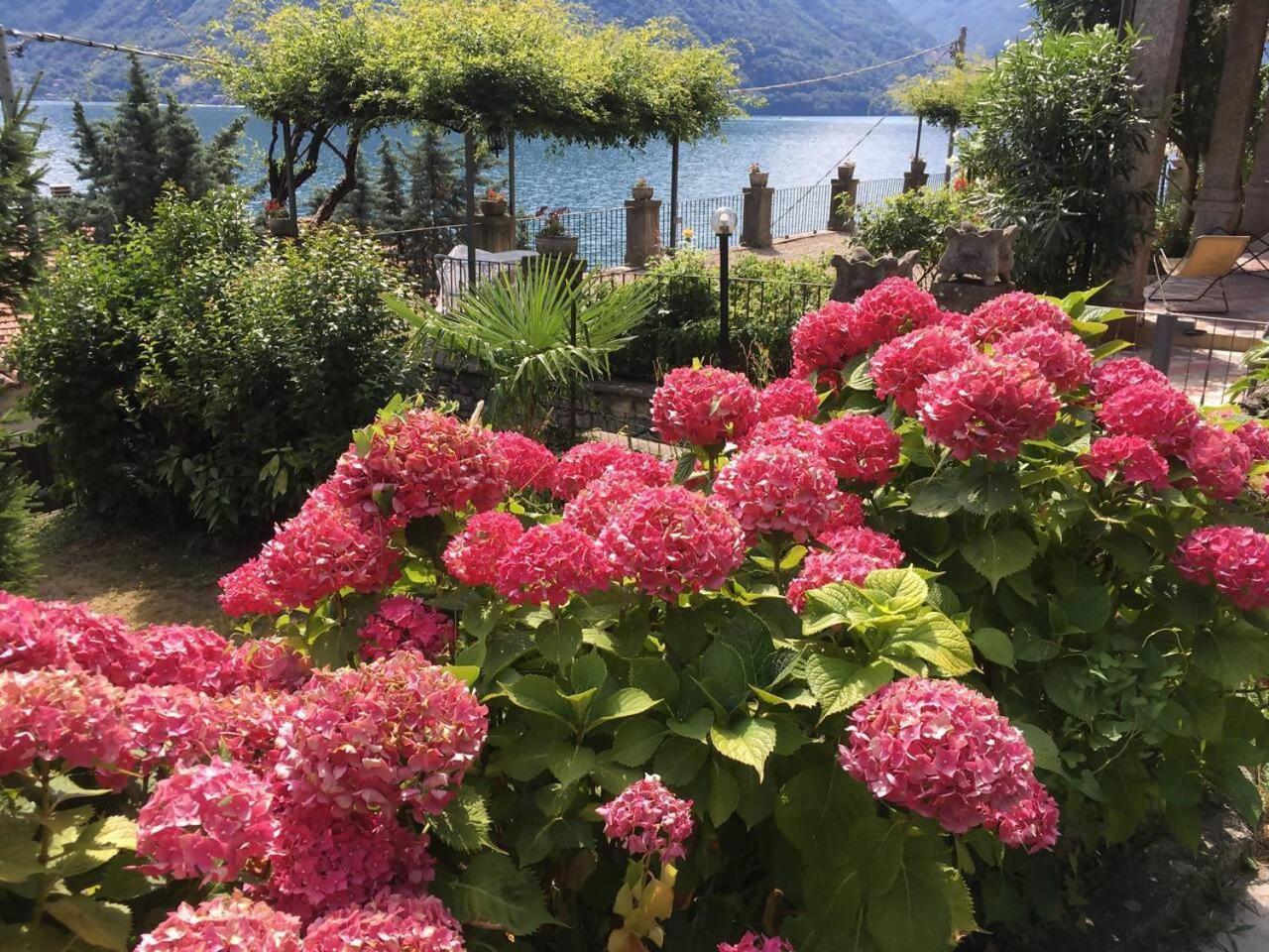 Villa Peroni Honeymoon Cottage Argegno Dış mekan fotoğraf